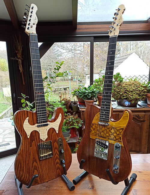 Eric Thenaisye : restauration guitare à Gironville-sur-Essonne près d'Étampes & Milly-la-Forêt (91)